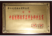 中国鞋都金牌供应商 