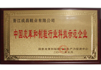 皮革和制鞋行业科技示范企业 